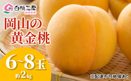 桃 2025年 先行予約 黄金桃 2kg 6～8玉 もも モモ 岡山 国産 フルーツ 果物 ギフト 桃茂実苑 果肉 