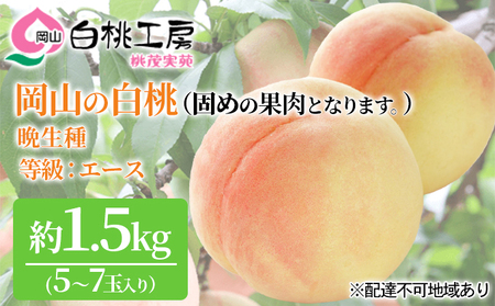 固めの 桃 2025年 先行予約 白桃 晩生種 等級 エース 約1.5kg 5〜7玉 もも モモ 岡山 国産 フルーツ 果物 桃茂実苑