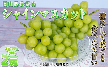 ぶどう 2025年 先行予約 ご家庭用 シャイン マスカット 2房 1房600g〜700g 8月下旬〜9月中旬発送分 ブドウ 葡萄 フルーツ 果物 岡山 赤磐市産 農マル園芸 あかいわ農園