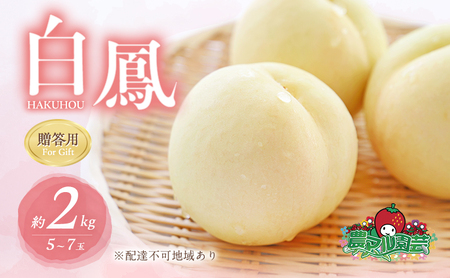  2026N s\  P 2kg 5`7 p   t[c ʕ R Ԕ֎sY _}| _