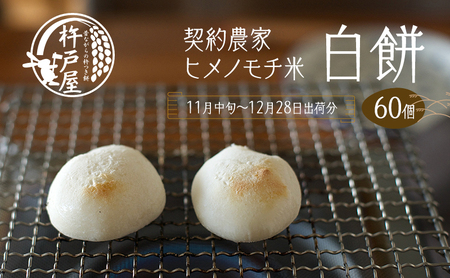  60i110ۑY ^pbNjnˉ ˂Ƃi2025N11{`1228oוj N ~ qm` __  Ă G 񂴂 畨