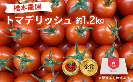 フルーツ トマト [2025年先行予約] トマデリッシュ 約1.2kg 橋本農園 岡山 野菜 高糖度 旨味 弾力 果実 甘い サラダ そのまま 岡山県産 緑黄色野菜