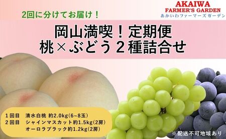 桃 ぶどう 定期便 2025年 先行予約 岡山満喫! 清水 白桃 約2.0kg 6〜8玉 ぶとう 2種 詰合せ 2回に分けてお届け!