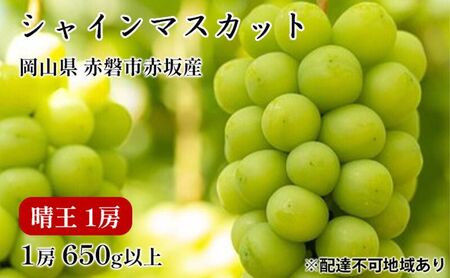 ぶどう 2025年 先行予約 シャイン マスカット 晴王 1房 650g以上 2025年9月上旬〜9月下旬発送分 ブドウ 葡萄 岡山県 赤磐市産 国産 フルーツ 果物 ギフト 赤坂青空市