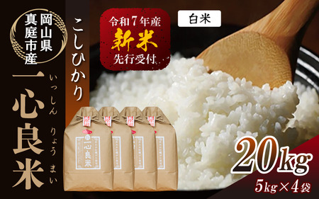 yߘa7NYz ^sYRVqJ yk͔|  20kg(5kg×4)  R ytakenaka029-02z