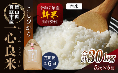 yߘaVNYzy֑SUz ^sYRVqJ yk͔|  5kg×U R ytakenaka005-02-tkb06z