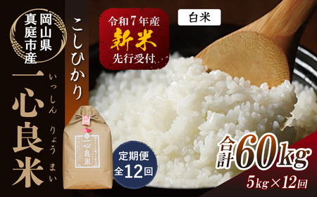 yߘaVNYz֑S12 ^sYRVqJ yk͔|  Tkg×12 R ytakenaka005-02-tkb12z