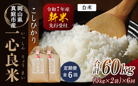 yߘaVNYz֑SU ^sYRVqJ yk͔|  POkg (5kg×2)×U Rytakenaka006-02-tkb06z