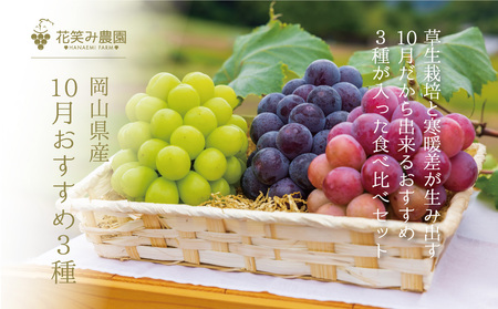 [岡山県産] 花笑み農園のブドウ『10月おすすめ3種』約2kg (3房) 3M-2L