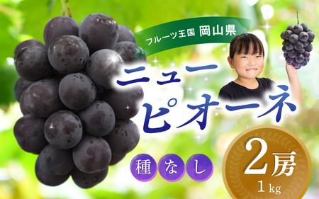 [2026年先行予約] 花笑み農園 ニューピオーネ 1kg(2房) 岡山 真庭市 P-1 hana14 / ぶどう ピオーネ 先行予約 [hana14-02]