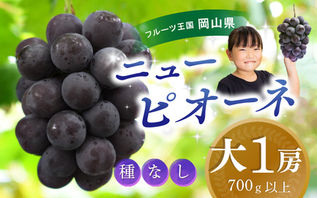 [2025年先行予約]岡山 花笑み農園『ニューピオーネ』700g以上(大1房) P-大1 ぶどう ブドウ 葡萄 岡山 ピオーネ 先行予約 フルーツ 果物 真庭市 濃厚 [hana45]