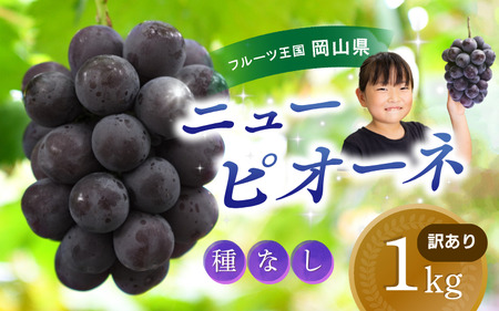 [2025年先行予約] 花笑み農園 ぶどう 訳あり 花笑み農園 ニューピオーネ 1kg WP-1 hana33. / ぶどう ブドウ 葡萄 岡山 ピオーネ 先行予約 フルーツ 果物 真庭市 濃厚 [hana33]