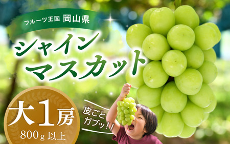 [2025先行予約]岡山 花笑み農園『シャインマスカット』800g以上(大1房) S-大1 シャインマスカット 岡山シャインマスカット シャインマスカット大1房 人気品種シャインマスカット 真庭市産 濃厚ぶどう 甘い[hana34]