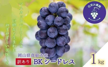 岡山 花笑み農園 訳あり『BKシードレス』1kg WB-1【hana62】