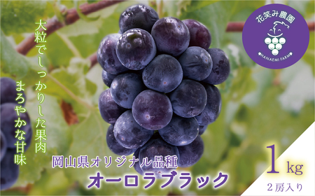 岡山 花笑み農園『オーロラブラック』1kg(2房) A-1[hana30]