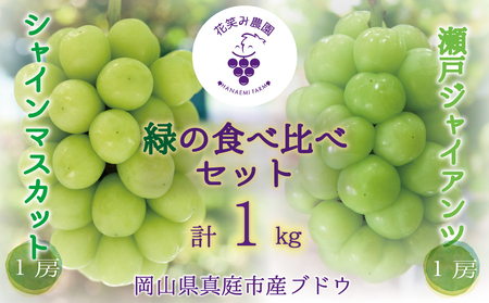 岡山 花笑み農園『シャインマスカット＆瀬戸ジャイアンツ』1kg(2房) GS-1【hana46-01】