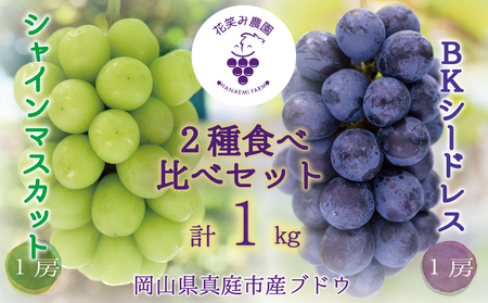 岡山 花笑み農園『シャインマスカット＆BKシードレス』1kg(2房)BS-1 岡山ぶどう 真庭市産ぶどう ぶどう食べ比べ【hana47】