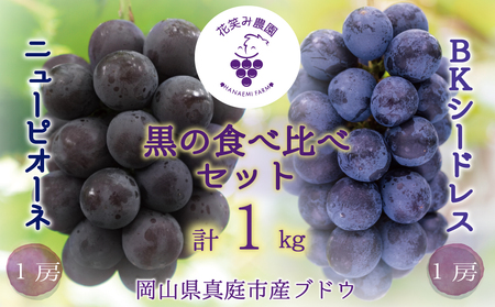 岡山 花笑み農園『ニューピオーネ＆BKシードレス』1kg(2房)PB-1【hana26-1】