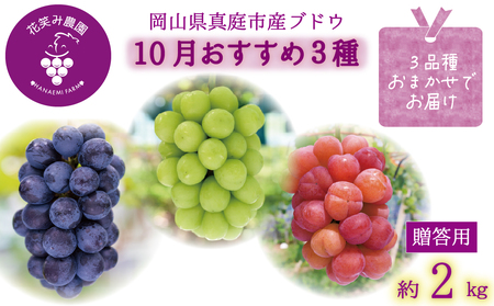 岡山 花笑み農園『ぶどう3種セット』10月おすすめセット(約2kg3房) 3M-2L