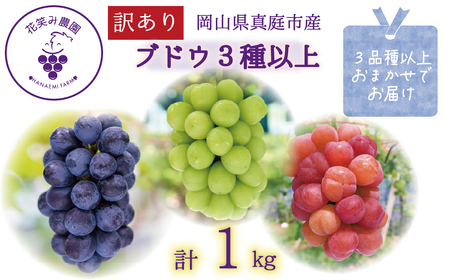 岡山 花笑み農園 訳あり『ぶどう3種以上』1kg W3M-1