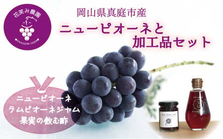 [2026年先行予約]花笑み農園 岡山の『ピオーネ&ラムピオーネジャム&飲む酢』 [hana071-02]