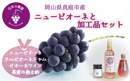 岡山 花笑み農園『ピオーネ&ラムピオーネジャム&ワイン&飲む酢』ピオーネと加工品セットP-JWN[hana74]