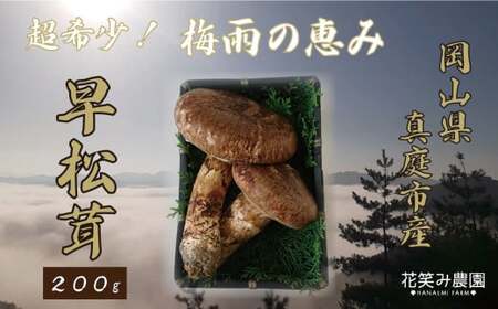 �y2026�N��s�\��z�ԏ΂ݔ_���@���󏭁I���w�����x200g�`�~�J�̌b�݁@�i6�`7�������j �yhana024-02�z