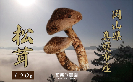R ԏ΂ݔ_wx100gyhana77-01z