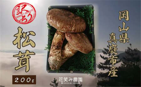 �y2026�N��s�\��z�ԏ΂ݔ_���@���R�̖󂠂�w�����x200g �yhana023-02�z