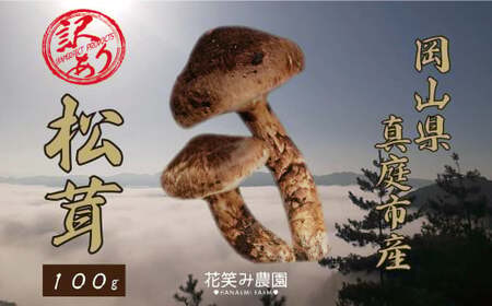 【2026年先行予約】花笑み農園　岡山の訳あり『松茸』100g 【hana078-02】