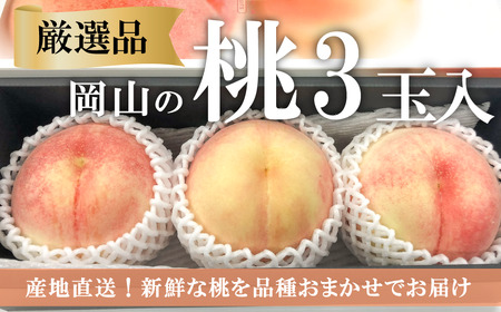 [きよとうファーム]厳選品 旬の桃(品種おまかせ)3玉入 (岡山県産)[KF-A016-02]