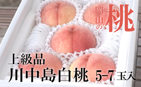 [きよとうファーム]川中島白桃 上級品 5-7玉入 (岡山県産)[KF-A021-01]