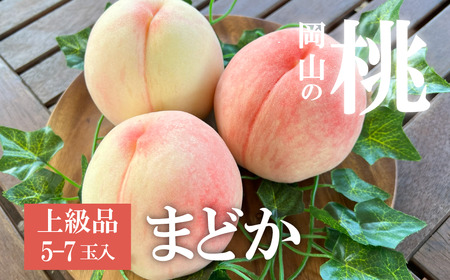 [きよとうファーム]まどか 白桃 上級品 5-7玉入 (岡山県産)[KF-A022-01]