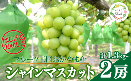 [きよとうファーム]シャインマスカット 特大2房入/計1.3kg~ (岡山県産)[KF-B014-02]
