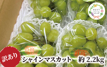 訳あり シャインマスカット 岡山県産 ご家庭用シャインマスカット約2.2kg 【KF-B015-03】
