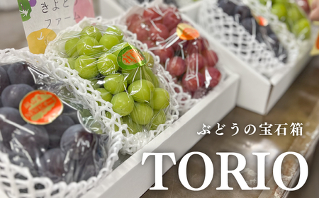 [きよとうファーム]葡萄の宝石箱TORIO-トリオ-(シャインマスカット入り3品種詰め合わせ)/計1.8kg~ (岡山県産)[KF-B030-02]