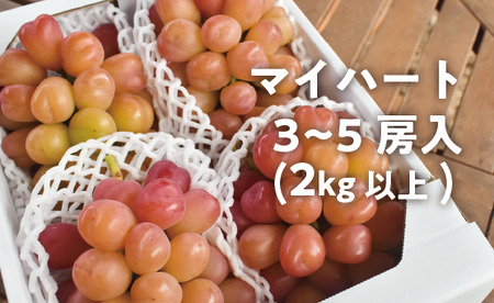 [きよとうファーム]ハートの形が可愛い!マイハート3-5房/計2.0kg~ (岡山県産)[KF-B052-02]