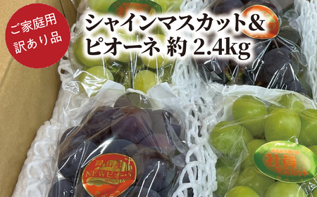 [きよとうファーム]訳あり ピオーネ&シャインマスカット /合わせて約2.4kg (岡山県産)[KF-B084-02]
