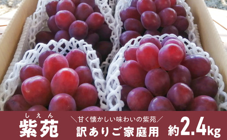 [きよとうファーム]訳ありご家庭用 紫苑(しえん)/ 約2.4kg (岡山県産)[KF-B085-01]