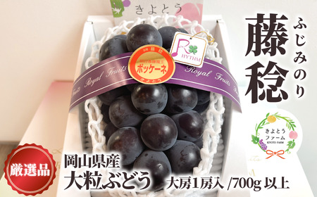 [きよとうファーム]大粒葡萄の藤稔 特大1房 厳選品/1房700g以上 (岡山県産)[KF-B086-02]