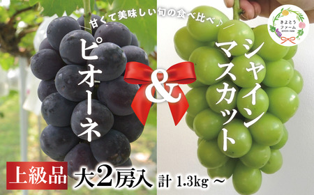 [きよとうファーム]ピオーネ&シャインマスカット 上級品 特大2房 /計1.3kg~ (岡山県産)[KF-B087-01]