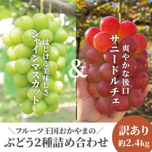 [きよとうファーム]訳あり品 シャインマスカット&サニードルチェ/約2.4kg~ (岡山県産)[KF-B089-02]