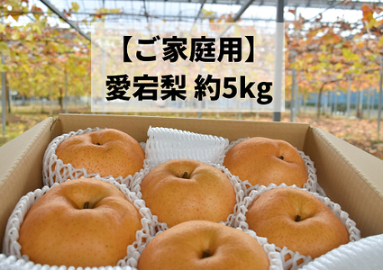[きよとうファーム]あたご梨 ご家庭用/約5kg (岡山県産) / 梨 岡山県産 果物 くだもの フルーツ[KF-C008-02]