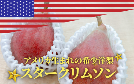 KF-C018-02[きよとうファーム]希少品種の洋梨!スタークリムソンペア ご家庭用 5-8玉(岡山県産)/ 早生洋梨 洋梨 梨 スタークリムソンペア 果物 くだもの フルーツ ご家庭用[KF-C018-02]