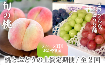 [きよとうファーム]旬の大玉桃3玉と上質なぶどう3種3房入の2回便(定期便)(岡山県産)[KF-T050-02]