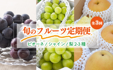 [きよとうファーム]ピオーネ&シャインマスカット&梨詰合せ!旬のフルーツ3回便(定期便)(岡山県産)[KF-T051-02]