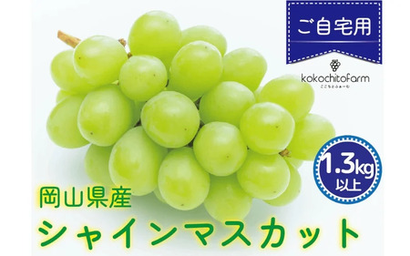 Ƃӂ[ށ@ypz@RY@VC}XJbg@2`3[@1.3kgȏ / ʕ  t[c  Ԃǂ VC}XJbg RYykoko02-01z