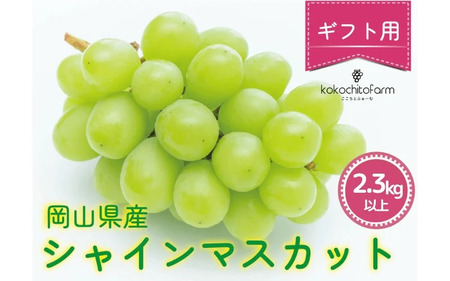 ここちとふぁーむ [ギフト] 岡山県産 シャインマスカット 3〜4房 2.3kg以上 / ぶどう ブドウ 葡萄 岡山 シャインマスカット フルーツ 果物 真庭市[koko-04]