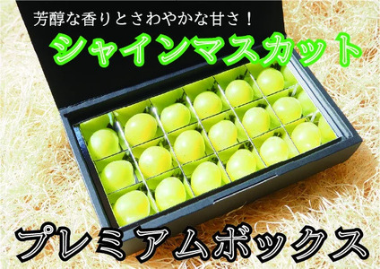 ここちとふぁーむ シャインマスカット プレミアムボックス / ぶどう ブドウ 葡萄 岡山 シャインマスカット ギフト 贈り物 フルーツ 果物 真庭市[koko-09]