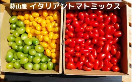 亮麻農園 イタリアントマトミックス「ロッソナポリタン」&「ナポリターナカナリア」&「サリーナエメラルド」[ryoma004]